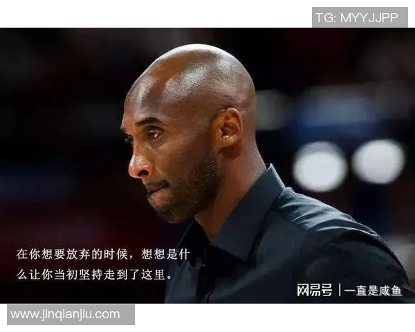 篮球明星24的传奇之路与辉煌成就全解析